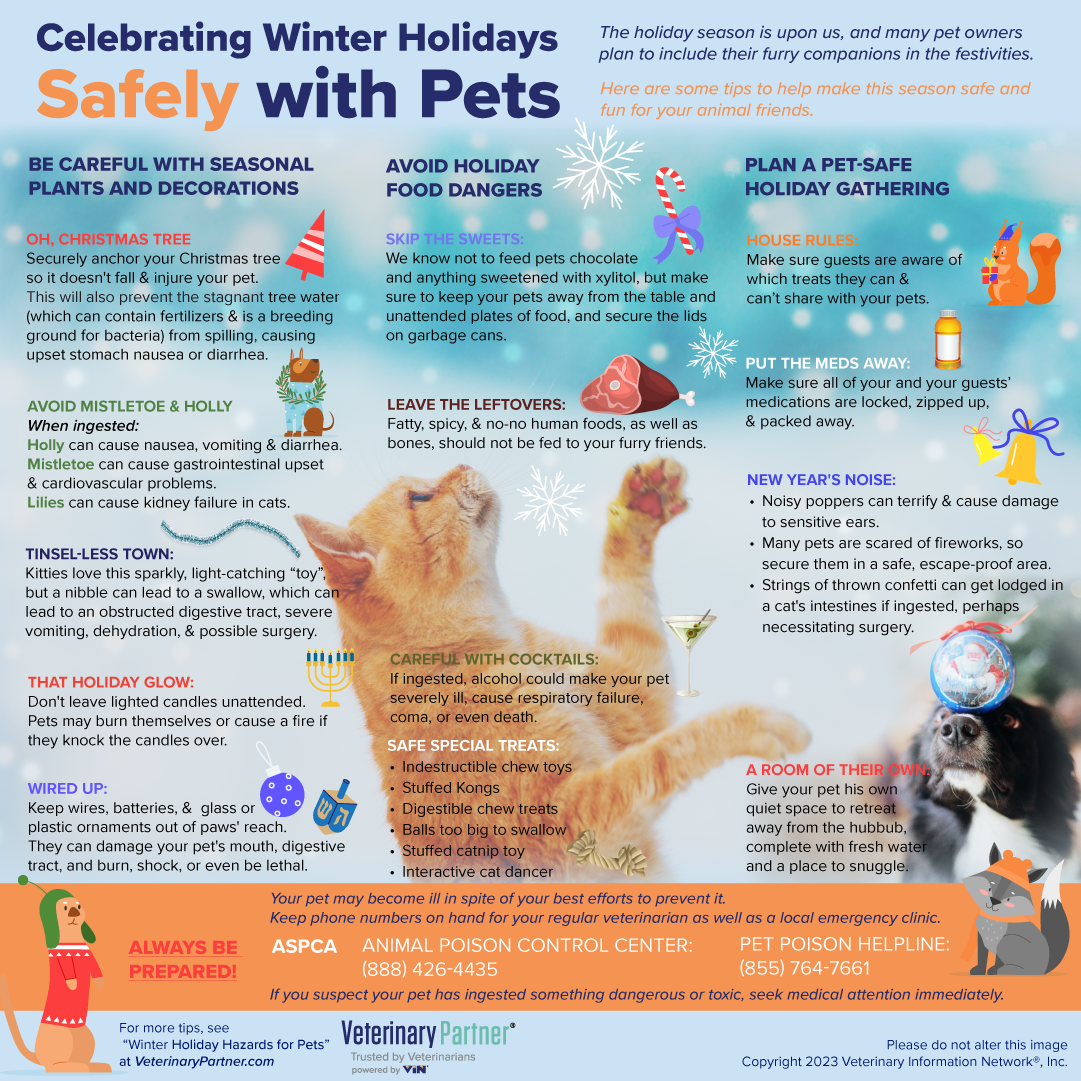 Celebrating Winter Holidays Safely with Pets